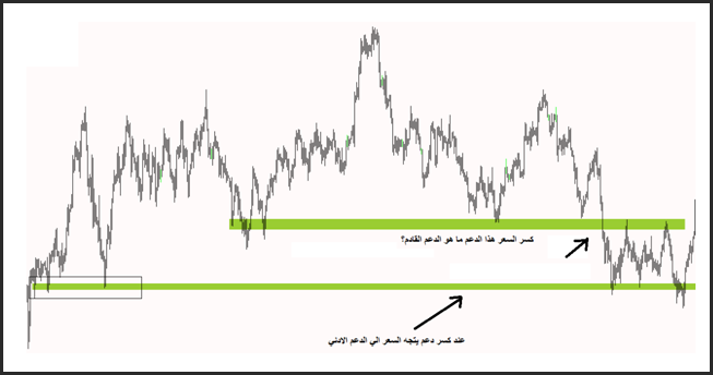 الدعم و المقاومة 3